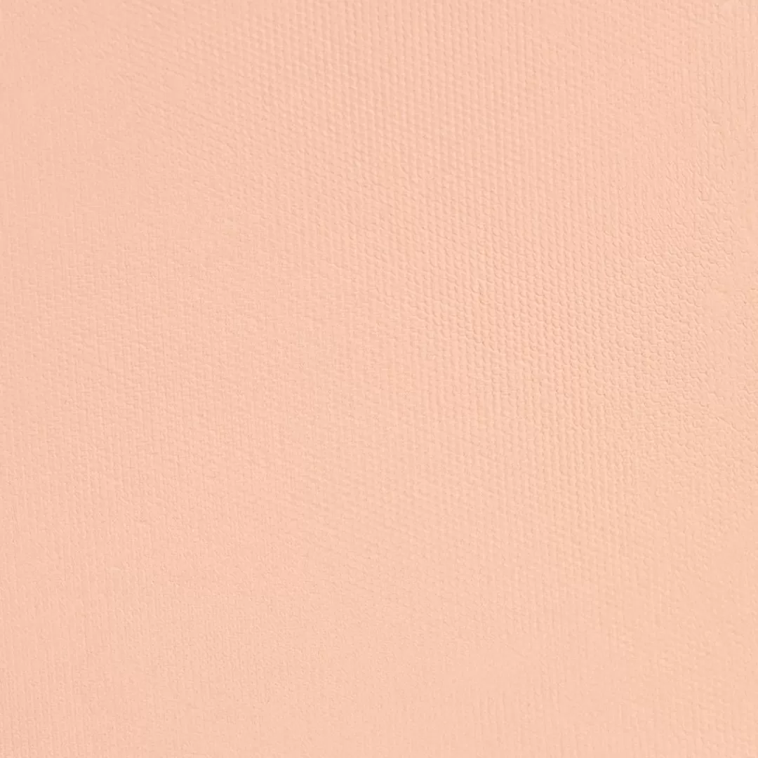 Adopt Powder^Perfect Foundation